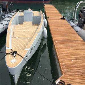 Dauphins amarrage