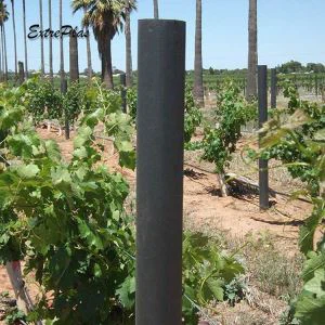 Pôle Vignoble